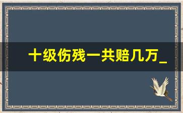 十级伤残一共赔几万_10 级伤残能赔多少